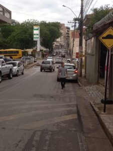 WhatsApp Image 2025 10 30 at 17.20.51 1 225x300